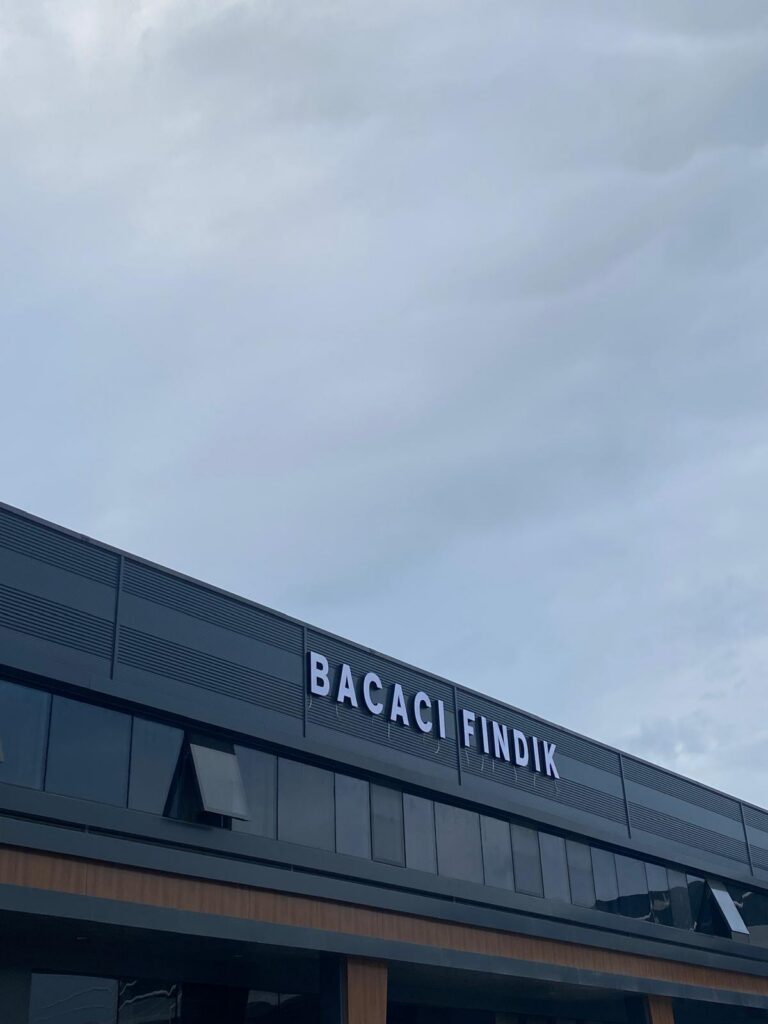 BACACI FINDIK – ORDU